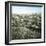 Panorama from the Piazzale Michelangelo, Florence (Italy), Circa 1895-Leon, Levy et Fils-Framed Photographic Print