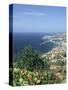 Panorama, Funchal, Madeira, Portugal-Peter Thompson-Stretched Canvas