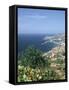 Panorama, Funchal, Madeira, Portugal-Peter Thompson-Framed Stretched Canvas