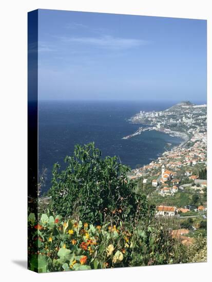 Panorama, Funchal, Madeira, Portugal-Peter Thompson-Stretched Canvas