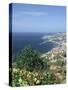 Panorama, Funchal, Madeira, Portugal-Peter Thompson-Stretched Canvas