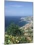Panorama, Funchal, Madeira, Portugal-Peter Thompson-Mounted Photographic Print
