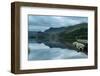 Panorama Landscape Rowing Boats on Lake with Jetty against Mountain Background-Veneratio-Framed Photographic Print