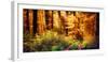 Panorama of a Beautiful Forest in Autumn Colours, with Warm Rays of Light Falling Unto a Path-Smileus Images-Framed Photographic Print