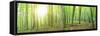 Panorama of a Green Summer Forest-Olegkalina-Framed Stretched Canvas