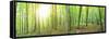 Panorama of a Green Summer Forest-Olegkalina-Framed Stretched Canvas