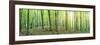 Panorama of a Green Summer Forest-Olegkalina-Framed Photographic Print