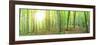 Panorama of a Green Summer Forest-Olegkalina-Framed Photographic Print