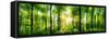 Panorama of a Scenic Forest of Fresh Green Deciduous Trees with the Sun Casting its Rays of Light T-null-Framed Stretched Canvas