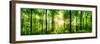 Panorama of a Scenic Forest of Fresh Green Deciduous Trees with the Sun Casting its Rays of Light T-null-Framed Photographic Print