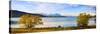 Panorama of Autumn Trees at Lake Tekapo, Canterbury, Southern Lakes, South Island, New Zealand-Matthew Williams-Ellis-Stretched Canvas