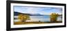 Panorama of Autumn Trees at Lake Tekapo, Canterbury, Southern Lakes, South Island, New Zealand-Matthew Williams-Ellis-Framed Premium Photographic Print