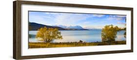 Panorama of Autumn Trees at Lake Tekapo, Canterbury, Southern Lakes, South Island, New Zealand-Matthew Williams-Ellis-Framed Photographic Print