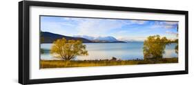 Panorama of Autumn Trees at Lake Tekapo, Canterbury, Southern Lakes, South Island, New Zealand-Matthew Williams-Ellis-Framed Photographic Print