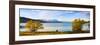 Panorama of Autumn Trees at Lake Tekapo, Canterbury, Southern Lakes, South Island, New Zealand-Matthew Williams-Ellis-Framed Photographic Print