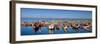 Panorama of Aveiro (Portugal)-Susana Guzman-Framed Photographic Print