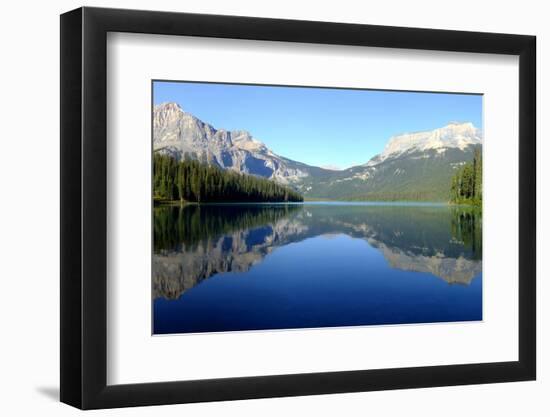 Panorama of Emerald Lake, Yoho National Park, British Columbia, Canada-Donyanedomam-Framed Photographic Print