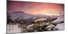 Panorama of frozen sea surrounded by snow framed by the orange sky at sunset, Torsken, Senja, Troms-Roberto Moiola-Mounted Photographic Print