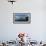 Panorama of Laghetto Forbici and Bernina Group on a Summer Day, Malenco Valley, Valtellina-Roberto Moiola-Framed Photographic Print displayed on a wall