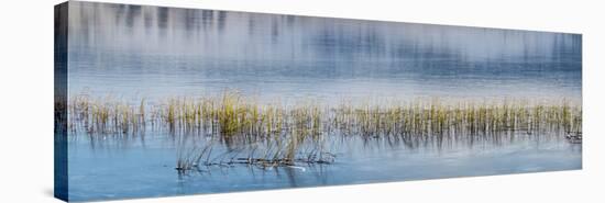 Panorama of lake.-Richard Wright-Stretched Canvas