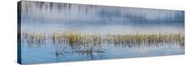 Panorama of lake.-Richard Wright-Stretched Canvas