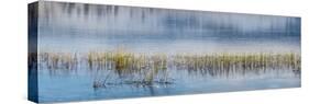 Panorama of lake.-Richard Wright-Stretched Canvas