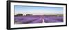 Panorama of Lavender Field at Sunset in Provence, South of France-null-Framed Photographic Print