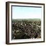 Panorama of Madrid (Spain) Taken from the Santa-Cruz Tower-Leon, Levy et Fils-Framed Photographic Print