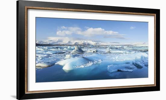 Panorama of Mountains and Icebergs Locked in the Frozen Water-Neale Clark-Framed Photographic Print