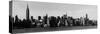 Panorama of NYC VIII-Jeff Pica-Stretched Canvas