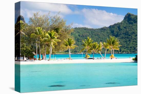Panorama of Perfect Beach with Coconut Palms in French Polynesia-BlueOrange Studio-Stretched Canvas