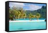 Panorama of Perfect Beach with Coconut Palms in French Polynesia-BlueOrange Studio-Framed Stretched Canvas