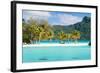 Panorama of Perfect Beach with Coconut Palms in French Polynesia-BlueOrange Studio-Framed Photographic Print