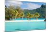 Panorama of Perfect Beach with Coconut Palms in French Polynesia-BlueOrange Studio-Mounted Photographic Print