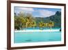 Panorama of Perfect Beach with Coconut Palms in French Polynesia-BlueOrange Studio-Framed Photographic Print