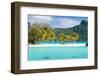 Panorama of Perfect Beach with Coconut Palms in French Polynesia-BlueOrange Studio-Framed Photographic Print