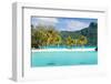 Panorama of Perfect Beach with Coconut Palms in French Polynesia-BlueOrange Studio-Framed Photographic Print