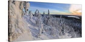 Panorama of snowy landscape and woods framed by blue sky and sun, Ruka, Kuusamo, Ostrobothnia regio-Roberto Moiola-Stretched Canvas