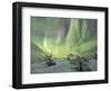 Panorama of snowy woods and frozen trees framed by Northern lights (Aurora Borealis) and stars, Lev-Roberto Moiola-Framed Photographic Print