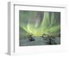 Panorama of snowy woods and frozen trees framed by Northern lights (Aurora Borealis) and stars, Lev-Roberto Moiola-Framed Photographic Print
