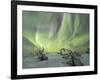 Panorama of snowy woods and frozen trees framed by Northern lights (Aurora Borealis) and stars, Lev-Roberto Moiola-Framed Photographic Print