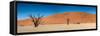 Panorama of the Dead Vlei-Circumnavigation-Framed Stretched Canvas