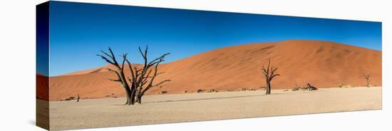 Panorama of the Dead Vlei-Circumnavigation-Stretched Canvas