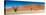 Panorama of the Dead Vlei-Circumnavigation-Stretched Canvas