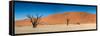 Panorama of the Dead Vlei-Circumnavigation-Framed Stretched Canvas