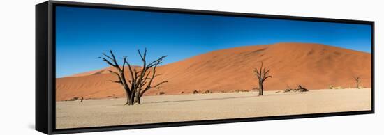 Panorama of the Dead Vlei-Circumnavigation-Framed Stretched Canvas