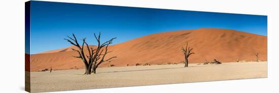 Panorama of the Dead Vlei-Circumnavigation-Stretched Canvas