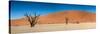 Panorama of the Dead Vlei-Circumnavigation-Stretched Canvas