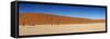 Panorama of the Dead Vlei-Circumnavigation-Framed Stretched Canvas