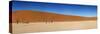 Panorama of the Dead Vlei-Circumnavigation-Stretched Canvas